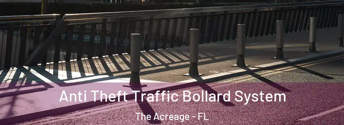  Anti Theft Traffic Bollard System The Acreage - FL
